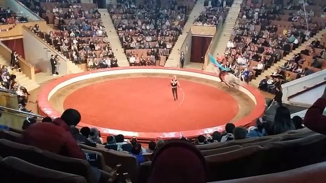 Маленький патриот своей страны!