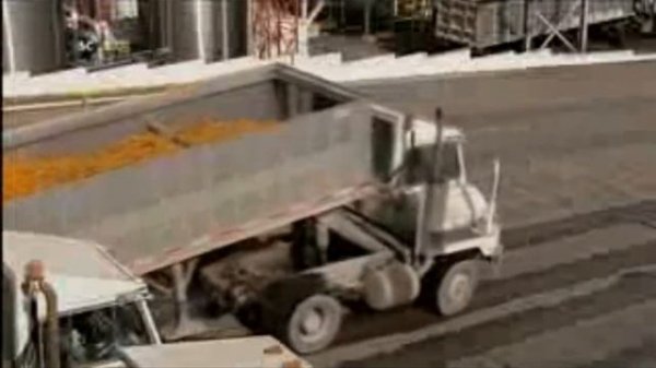 КАК ДЕЛАЮТ АПЕЛЬСИНЫ