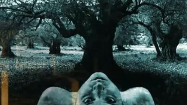 Rammstein   Spieluhr