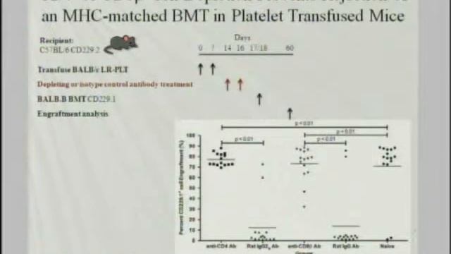 Transfusions & Bone Marrow Rejection смотреть онлайн