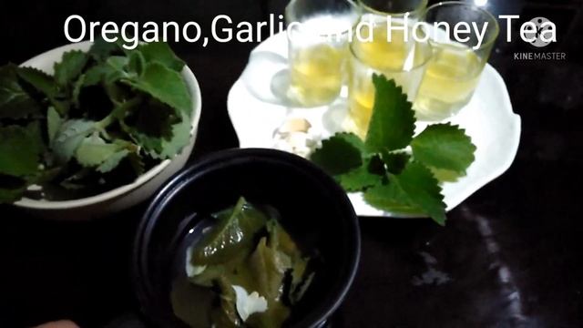 Oregano,Garlic and Honey Tea. Good for cough and antibiotic. смотреть онлайн