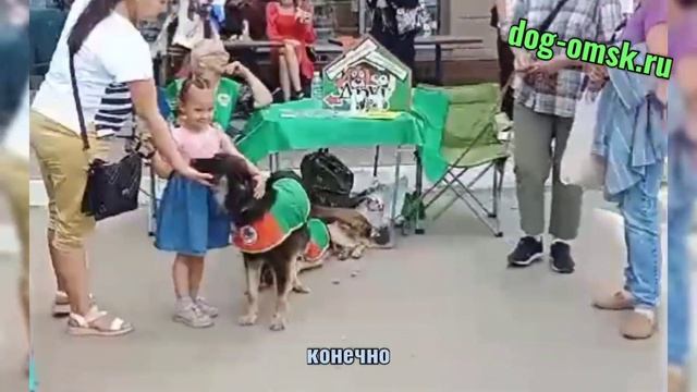 Выезд на Авто-Мото-Шоу, благотворительная выстсвка "Sf Tuning Meet", 20.07.24г. смотреть онлайн