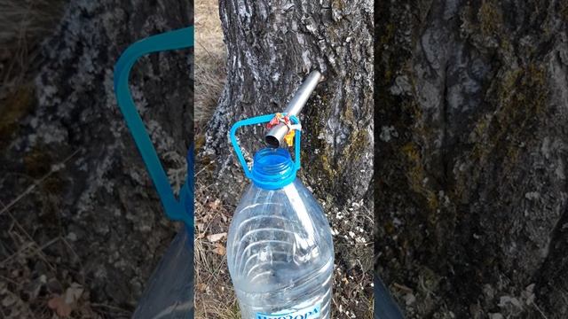 Карпаты, берёзовый сок смотреть онлайн