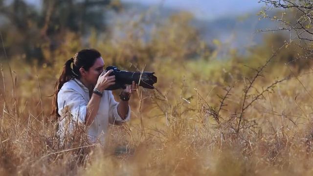 🙌 Nikon Z9 FX-Format VS Sony Alpha 1 Lens Mirrorless Camera | Best Mirrorless Cameras смотреть онлайн