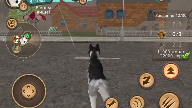 Аккаунт в dog sim смотреть онлайн