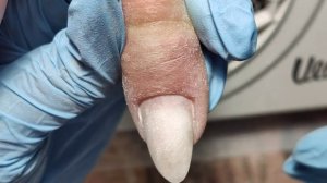 ЛЕТО, ОСЕНЬ и ЗИМА! ХРОНИКА ИЗ 5 РАБОТ! КОРРЕКЦИЯ ДЛЯ МАРИАННЫ!