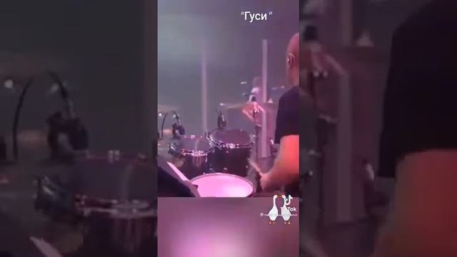 Гуси.  песня.