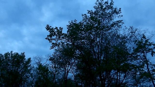Happy Beltane Eve! смотреть онлайн