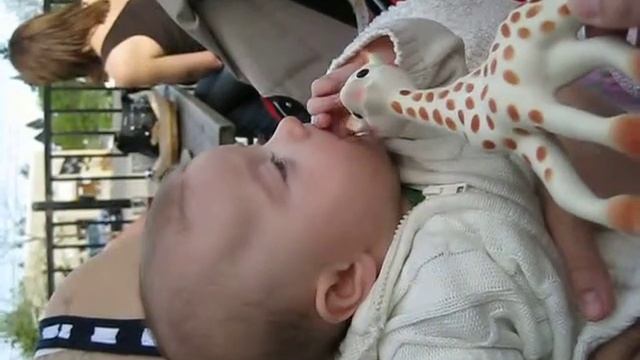 Ruari and Sophie the Giraffe смотреть онлайн