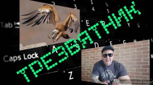 #50 Трезвеннические убеждения. Срывы. Метод Шичко