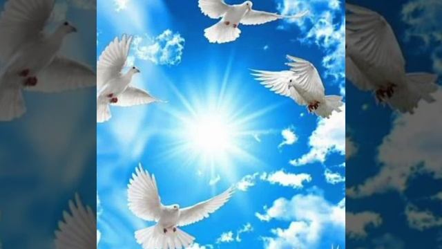 Песня:,,Не печалься весна придёт" смотреть онлайн