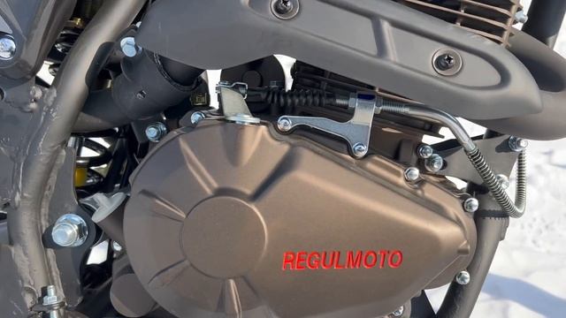 Regulmoto TE (Tour Enduro) 250PR