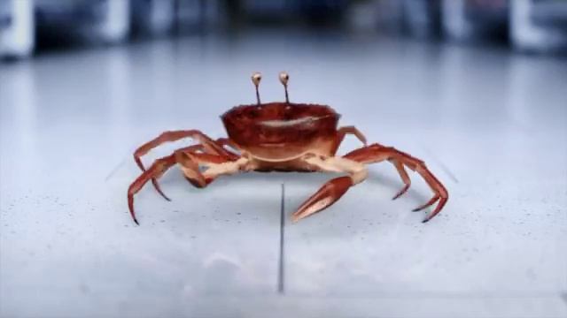 The "Ode" to the crabsticks смотреть онлайн