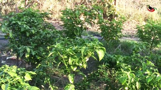 69. Отчет за октябрь смотреть онлайн