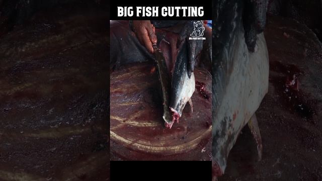 Big Size Tuna Fish Cutting on kasimedu Fish Market #shorts #viral смотреть онлайн