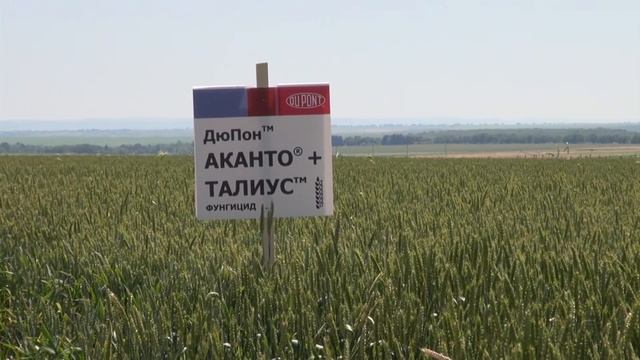 ТЕХНОЛОГИИ ОТ ДЮПОН РАСТИТЕЛНА ЗАЩИТА смотреть онлайн