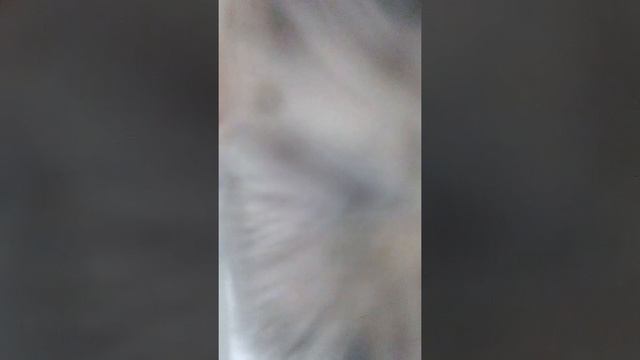 Сима смотреть онлайн