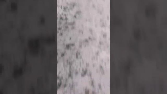 Refractive Index🤔😶🌫️An Illusion, That is Sparkling Clear Water👀 смотреть онлайн