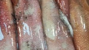 한국의 어시장. Корейский рыбный рынок.🐚🐙🐡 2021