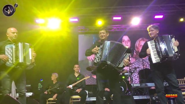 Festival Dani Zorana Jovanovica-Razgovor harmonika смотреть онлайн