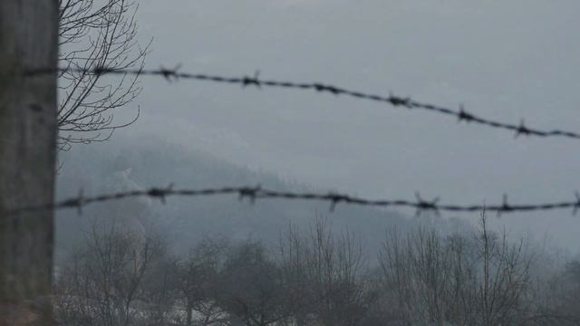 STARENTERTAINMENTUSA PRESENTS : Новую Песню " Птица ". Лирика Лауры Карины Хоуст ( 2021) смотреть онлайн