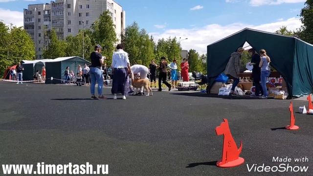 ТИМЕРТАШ ФАКТОР УСПЕХА смотреть онлайн