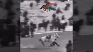 Таджикский наездник на лошади всех шокировал как запрыгнул на свою лошадь