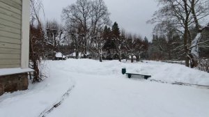 Михайловское. Дворянское имение. Псковская область.
