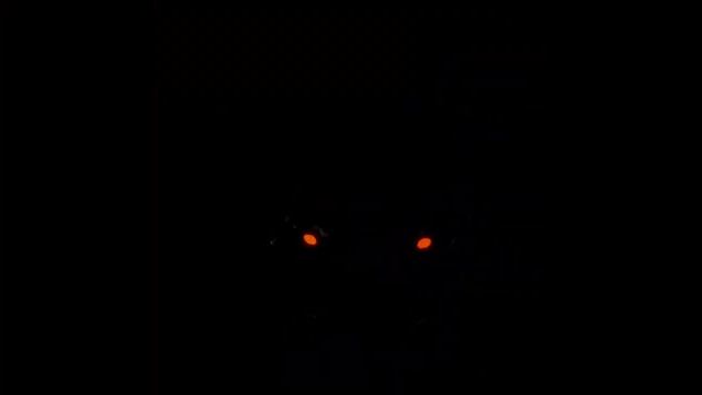 Playing Scary Baboon(⚠️loud Noise⚠️)