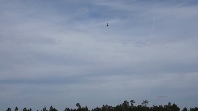 SINGLE 6S PACK - Trex 600 DFC - Pilot Conor Newton смотреть онлайн