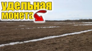 Необычная находка в поле!Неужели такое можно найти на простом поле!Удельная монета 15 века!