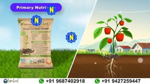 Best organic fertilizer pellets organic fertilizer