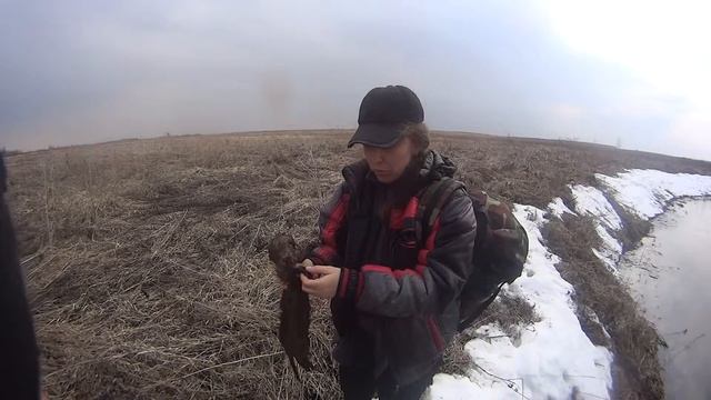 охота на норку смотреть онлайн