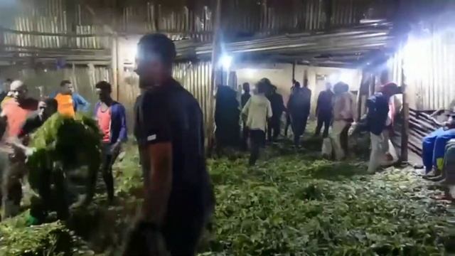 Khat(chat) warehouse behind the scenes in Ethiopia🇪🇹 смотреть онлайн