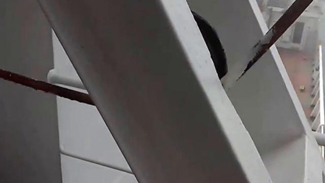 Андрюху запикали. смотреть онлайн