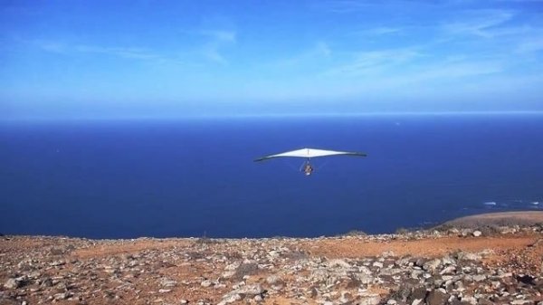 🔥Umaro - Дама черви 🔥