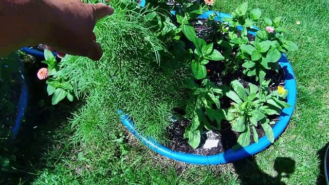 Box Cake Mix Hack - Food Pantry Meal Homemade Chicken Nuggets And French Fries - Garden Is Blooming