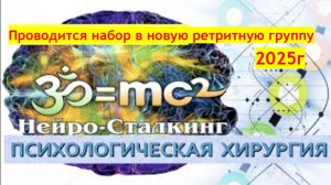 ЧТО ТАКОЕ  " НЕЙРОСТАЛКИНГ"  ВВОДНАЯ