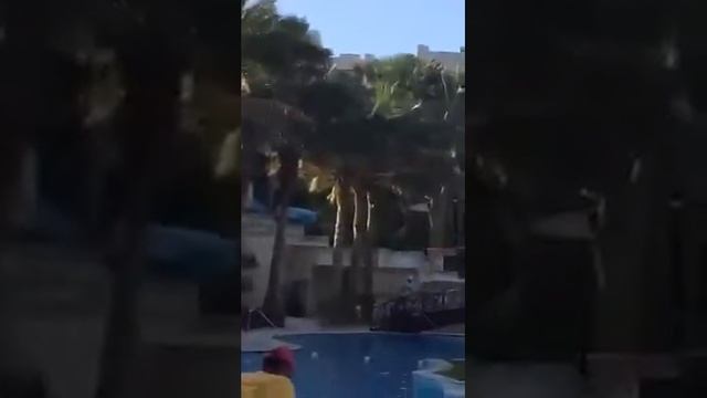 Архив Оксана Слуцкая фотограф в Шарм эль Шейхе расписание поездов про расписание поездов смотреть онлайн