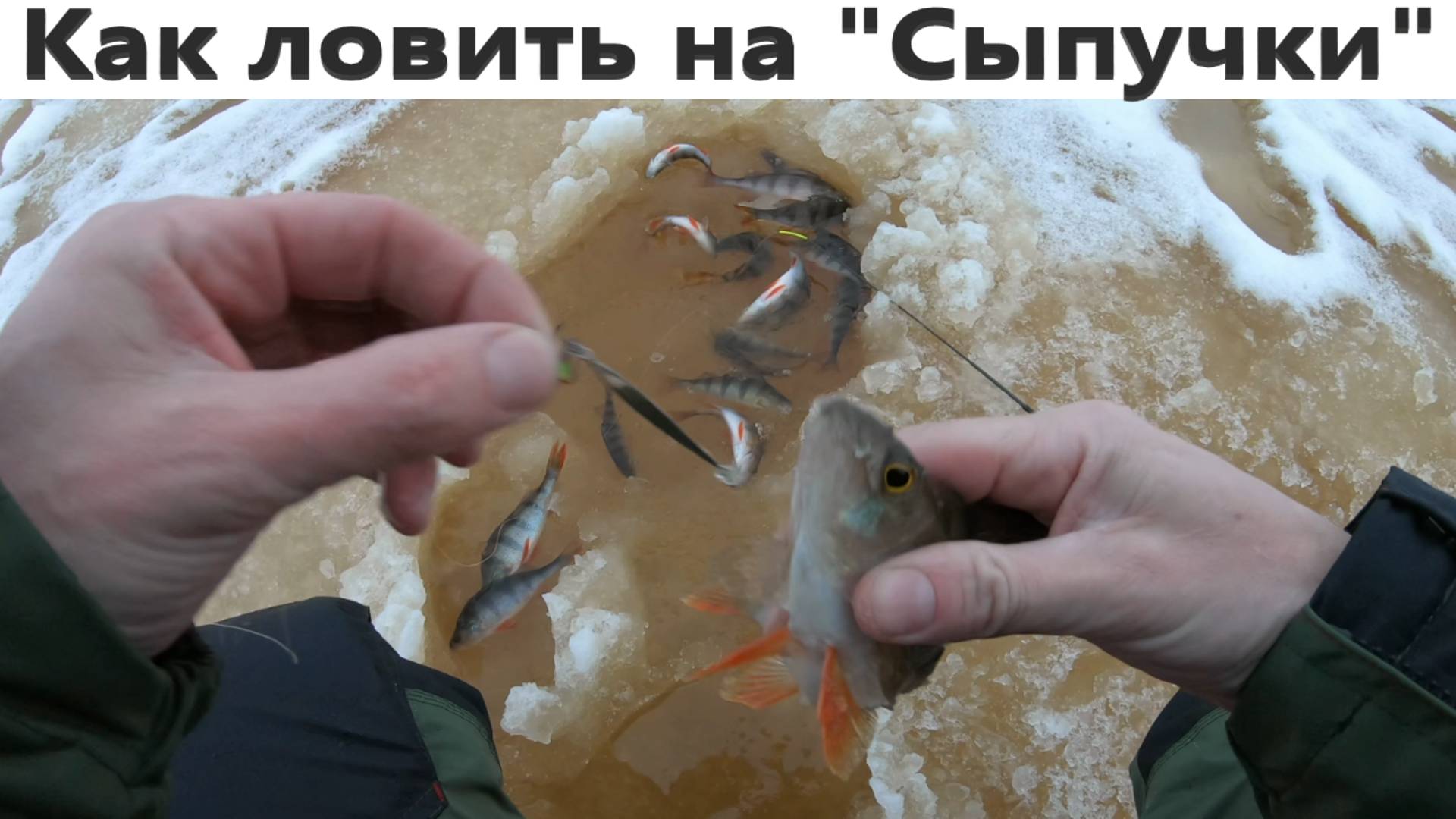 Как ловить окуня на сыпящиеся блесны зимой. Листик 35мм. смотреть онлайн