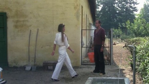 Укрощение строптивого (Комедии, Мелодрамы,Италия) Адриано Челентано, Орнелла Мути