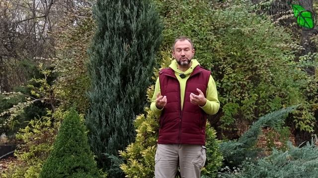 СЛАДКАЯ ПРАВДА и ЛОЖКА ДЕГТЯ ОБ ОПИЛКАХ. Опилки: как правильно использовать и как не навредить. смотреть онлайн