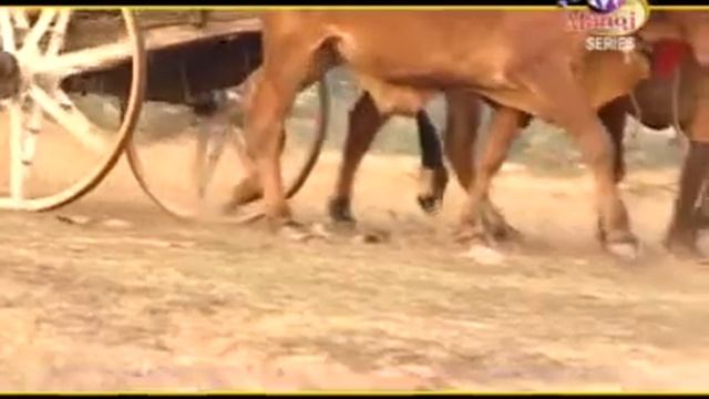 Aamre Mone...Santali video song... смотреть онлайн