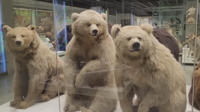 Государственный Дарвиновский музей (Moskow Moments)