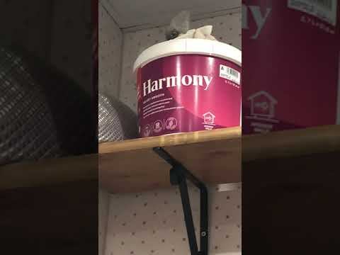 When You Sing In The Shower But (you Know Jacob Collier)