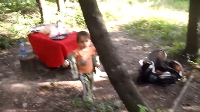 2013 06 18 Сосны. Жарим и едим шашлыки с Яном смотреть онлайн