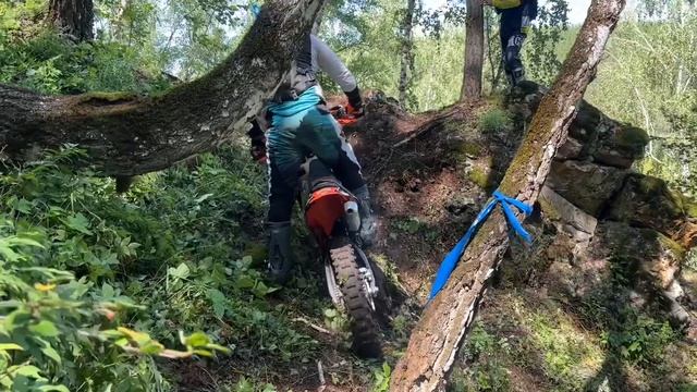 Битва за мамонта 2024 г.Каменск-Уральский смотреть онлайн