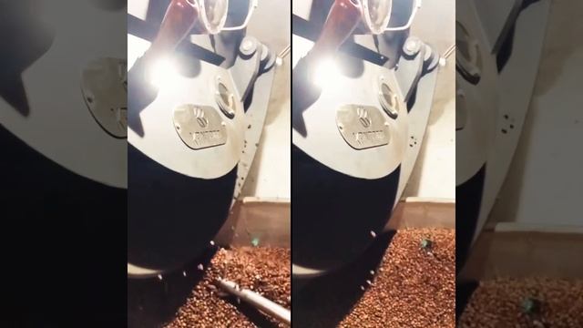 Nắm Lấy Tay Tôi/ Phim Ngắn Cà Phê Kantata