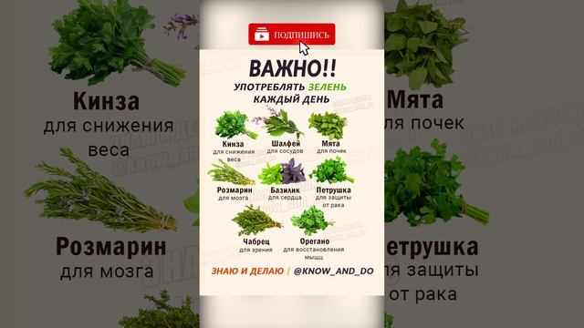 ТОП 8 полезной для здоровья зелени. Для чего употреблять зелень каждый день? смотреть онлайн