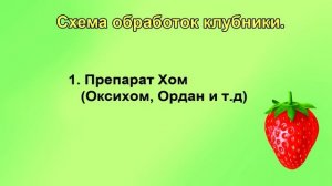 Обязательно обработайте клубнику до цветения от болезней и вредителей.